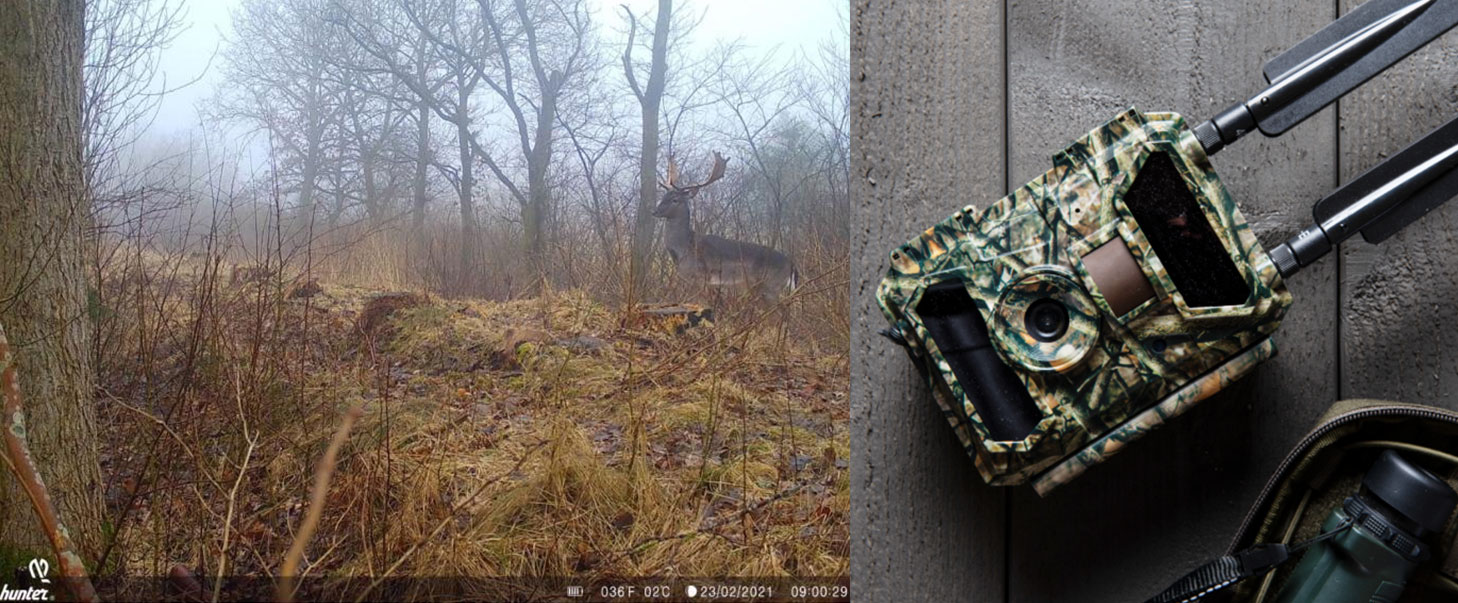 Wildkamera Fotoaufnahme mit Hunter Alpha Cloud